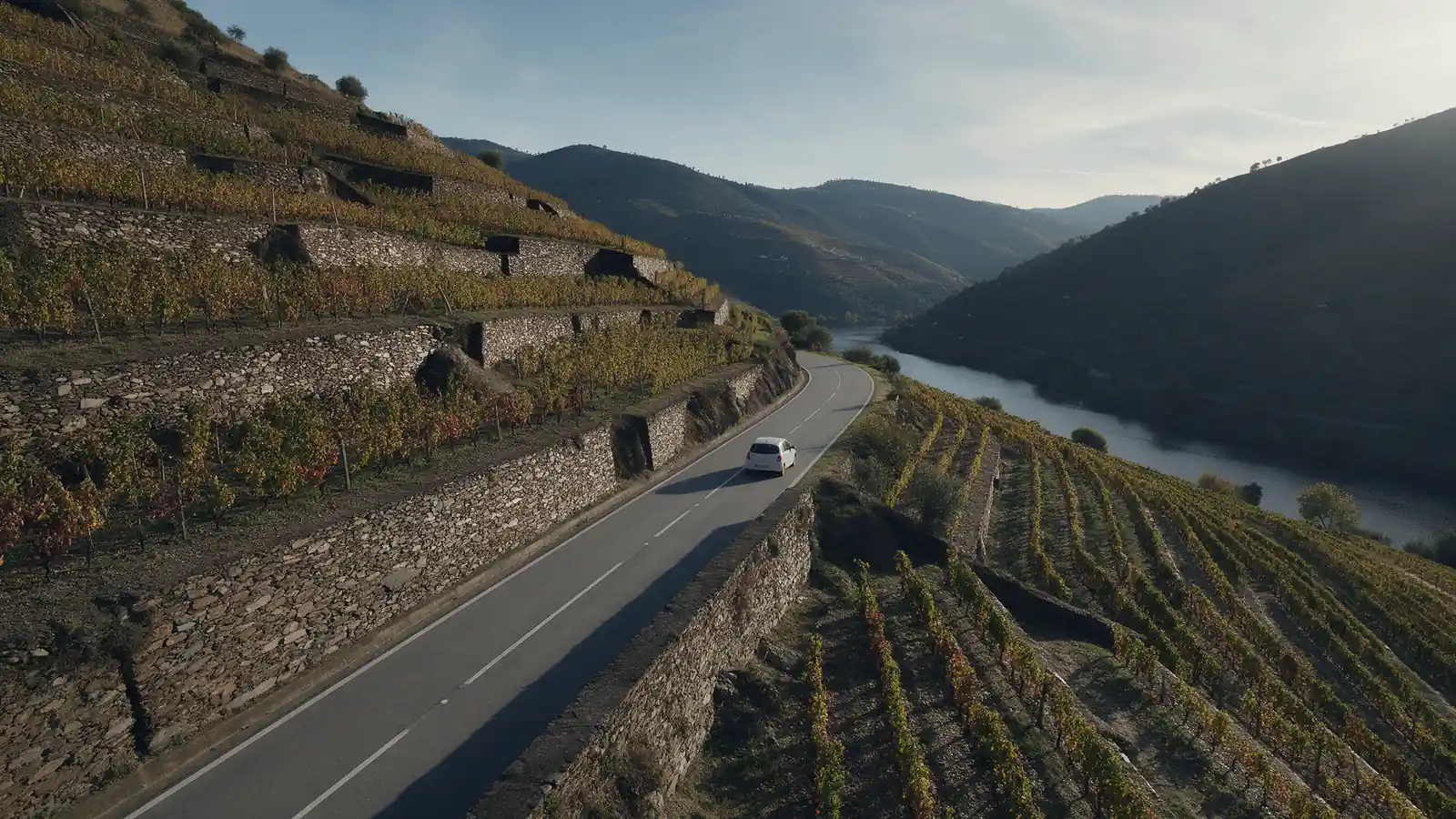 Carro branco sem marca numa estrada de curvas entre as vinhas em socalcos do vale do Douro, com o rio ao fundo e luz baixa de outono